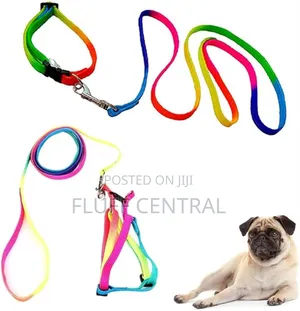 Colorful Rope Lead and Collar 1.0*120cm / 2.0cm