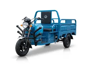 New Tricycle 2023 Blue