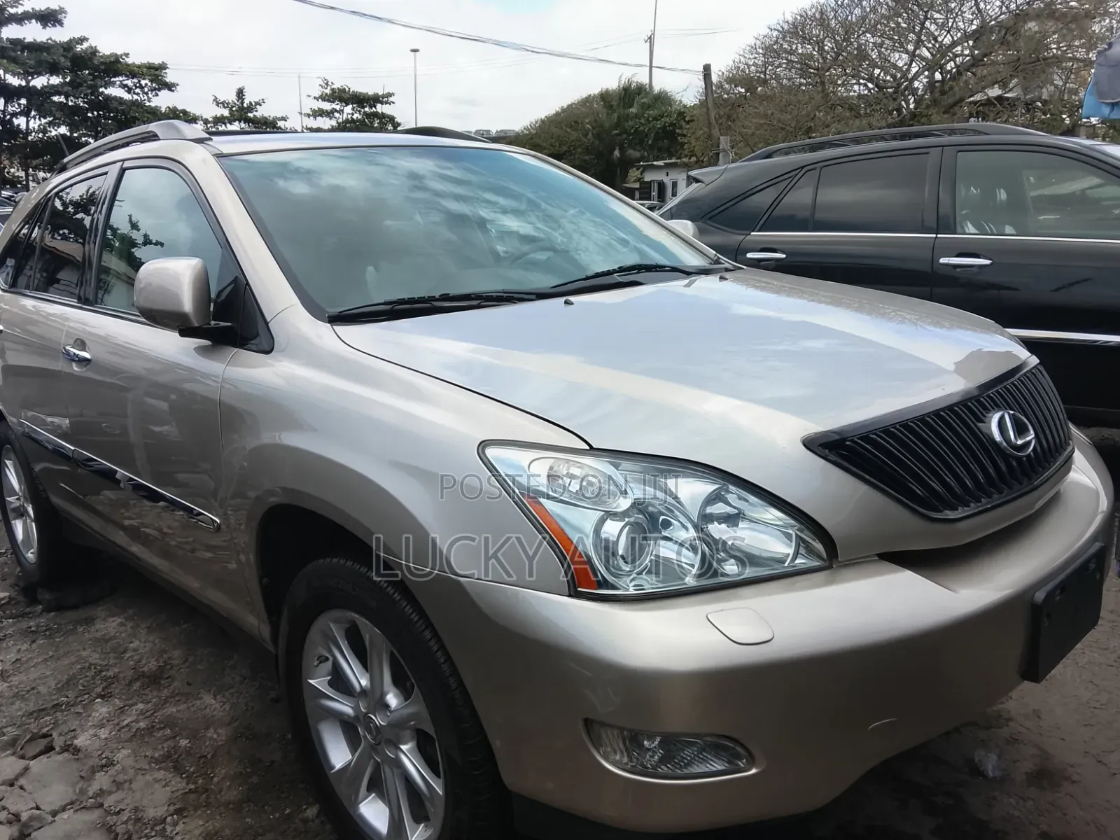 Lexus RX 2009 Gold