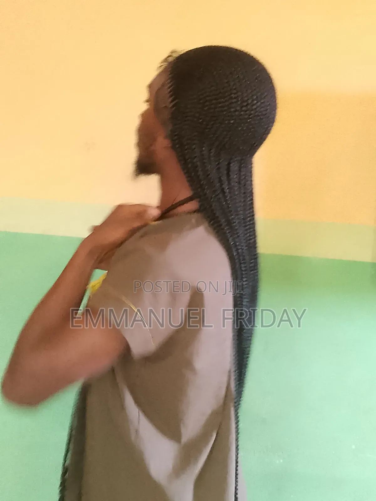 Braided Wig