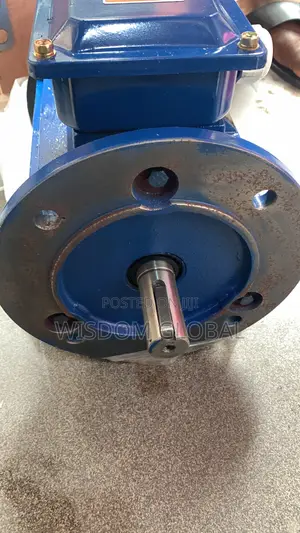 Original Electric Motor 2hp