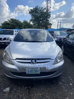Peugeot 307 2007 Silver