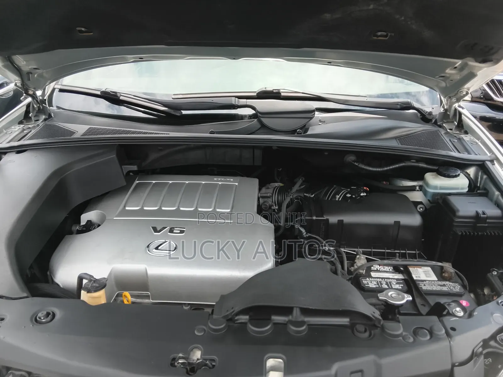 Lexus RX 2008 Green