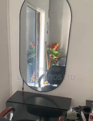 Twin Mirror