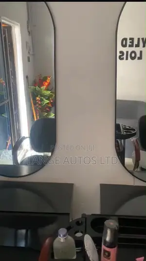 Twin Mirror