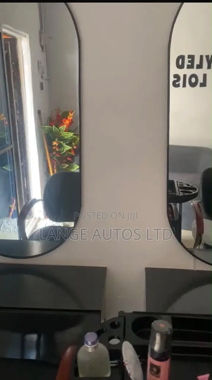 Twin Mirror