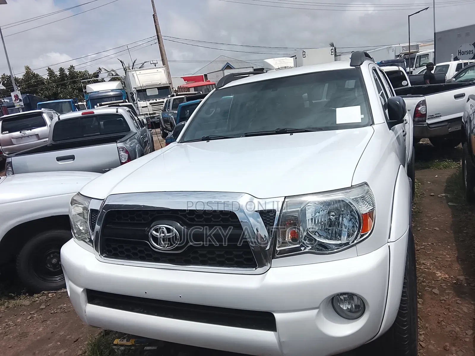 Toyota Tacoma 2008 White