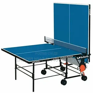 Outdoor Table Tennis