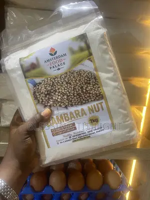 Fresh Okpa Flour( Bambara Nut Flour) for Sale - No Mixing