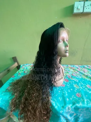 Human Hair Wigs