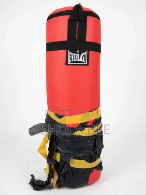 BRND Nw Everlast BoxingKitGloves,Headgear,Fcs Pads,HandwrapsNever Used