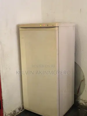 Clean Upright Standing Deep Freezer – Working Perfectly, Buy Use