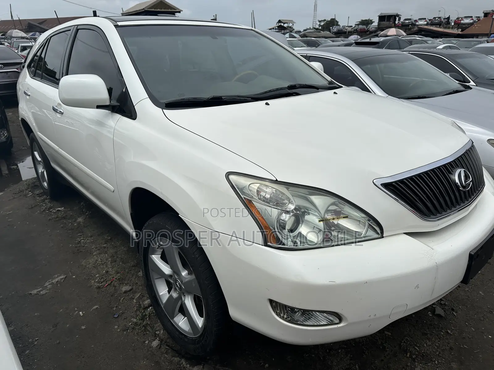 Lexus RX 330 2006 White