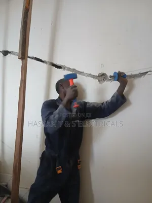 Professional Electrician
