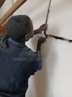 Professional Electrician