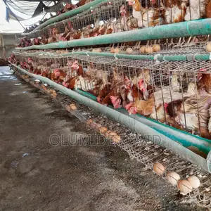 Farm Workers Needed