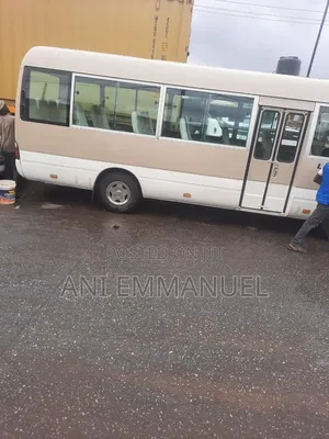 Toyota Coaster 2008 Brown