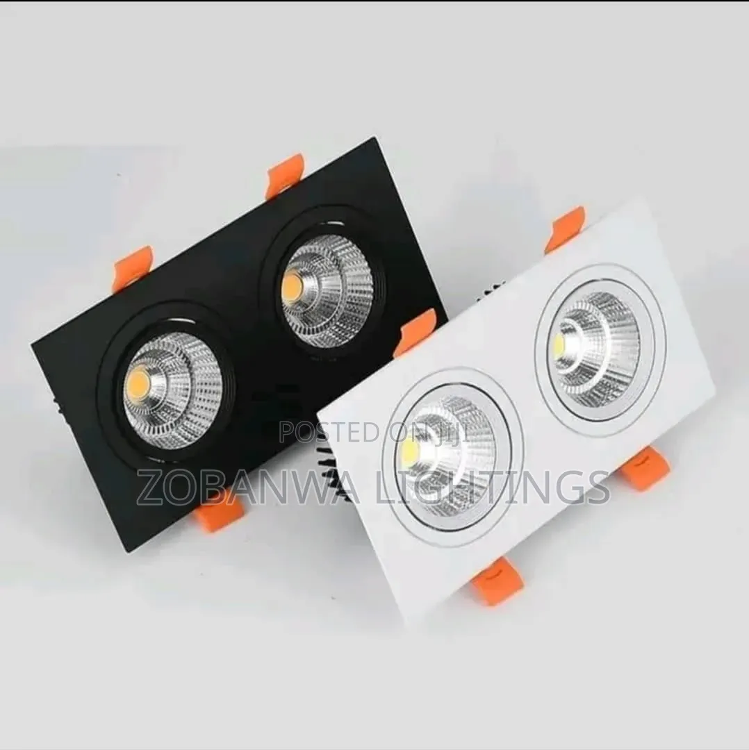 Epistar Chip Double Head Recessed Dimmable LED Downlights