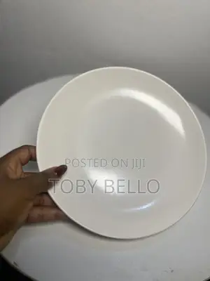 Serving Plates for Rent