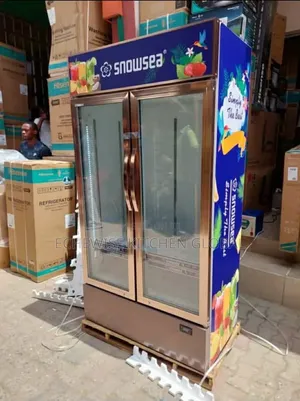 Snowse Display Chiller Double Door