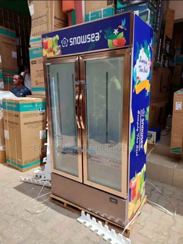 Snowse Display Chiller Double Door