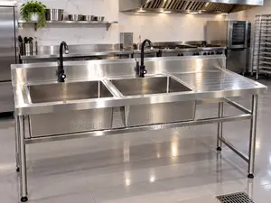Double Basin Stainless Steel Sink