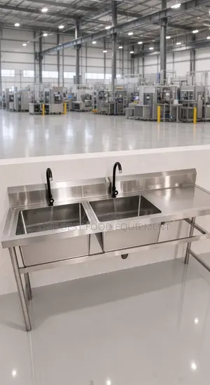 Double Basin Stainless Steel Sink