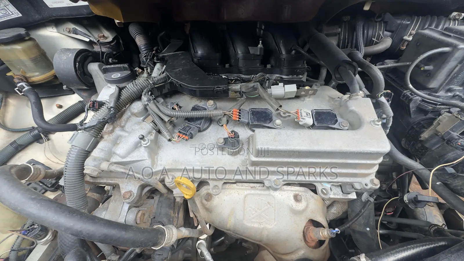 Toyota Sienna 2007 Gold