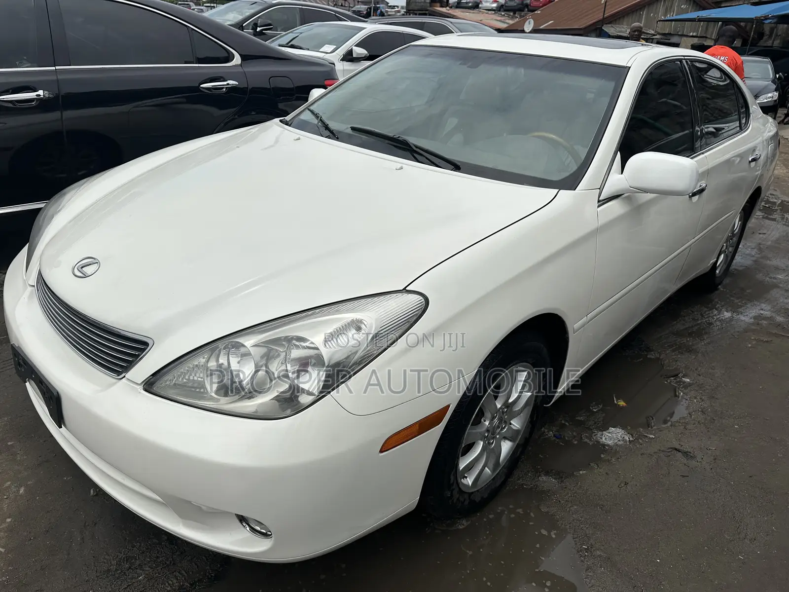 Lexus ES 330 2006 White