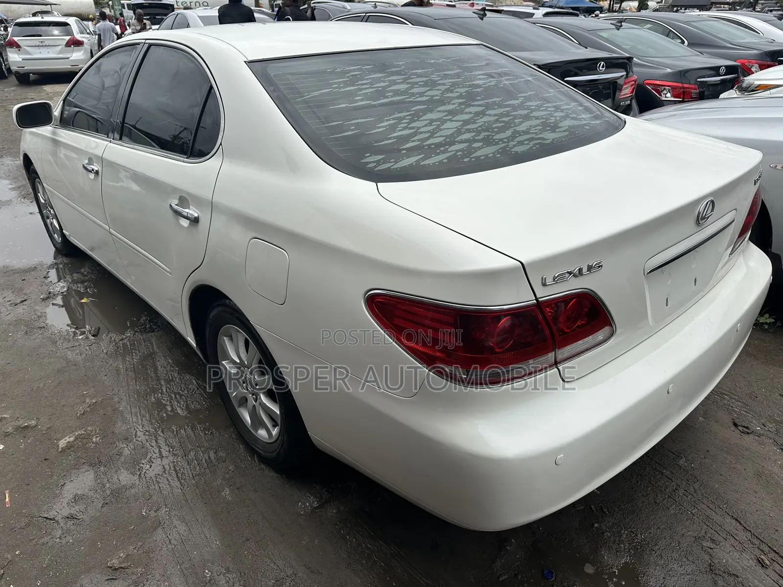Lexus ES 330 2006 White