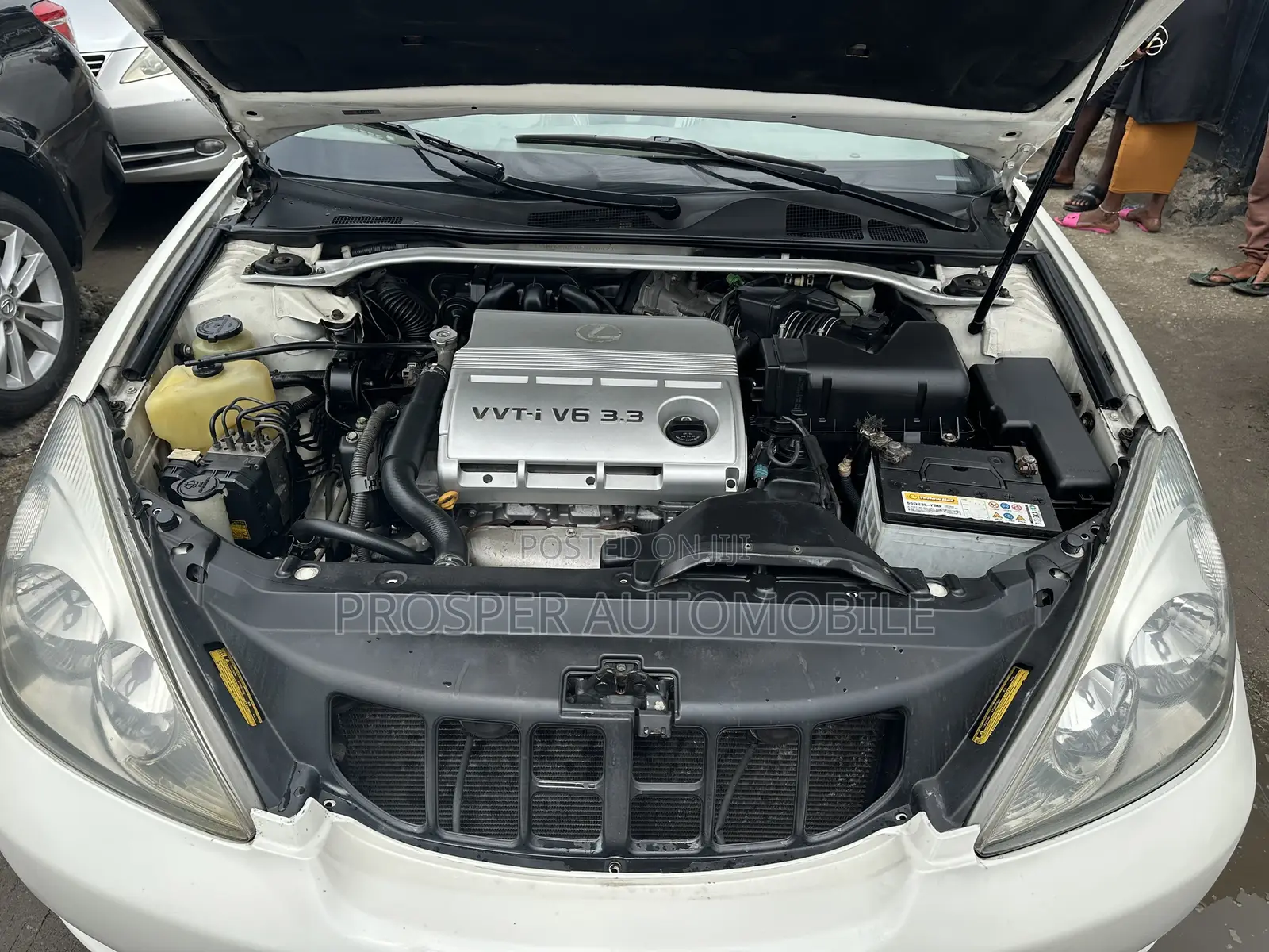 Lexus ES 330 2006 White