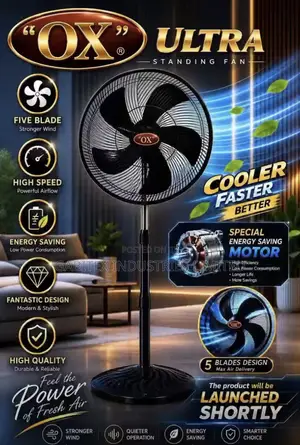 Standing Fan