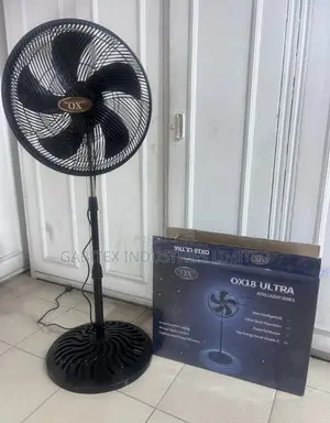 Standing Fan