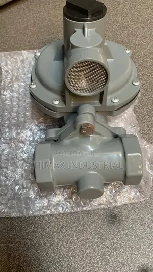 Commercial-Grade Gas Pressure Regulator