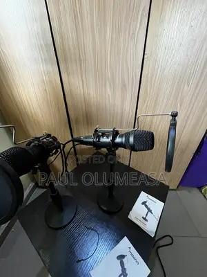 Microphone