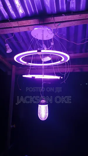 Chandelier Light