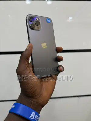 Apple iPhone 12 Pro Max 256 GB Graphite
