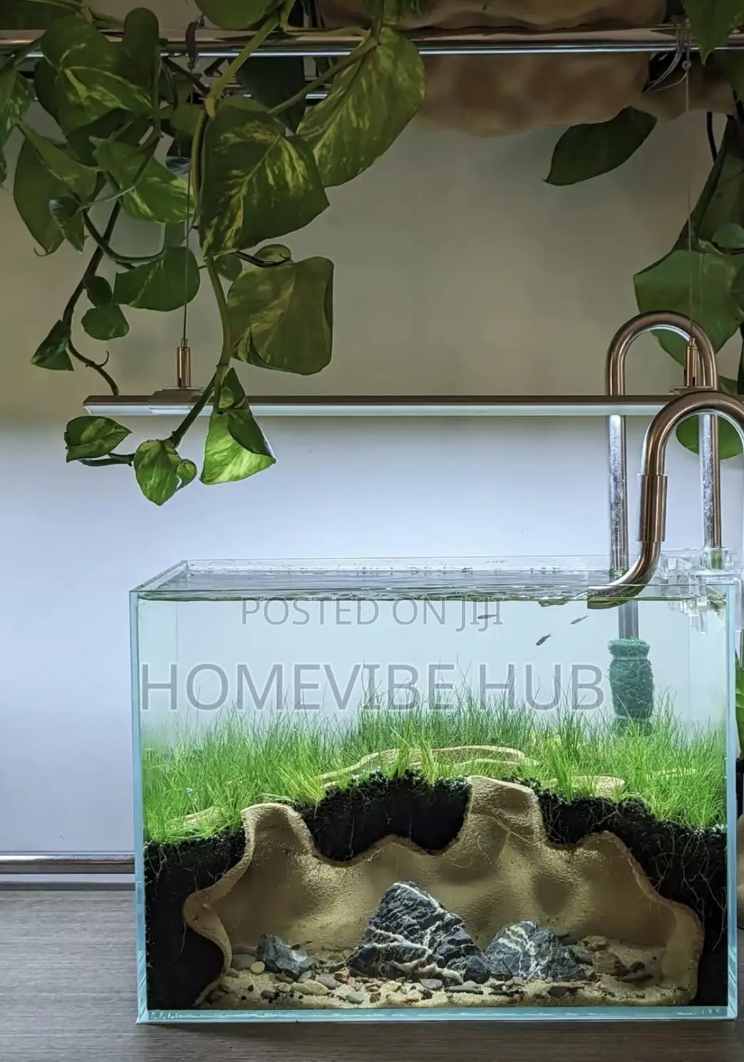 HomeVibe Hub