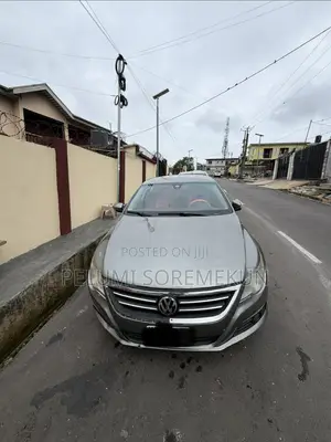 Volkswagen Passat 2010 Gray