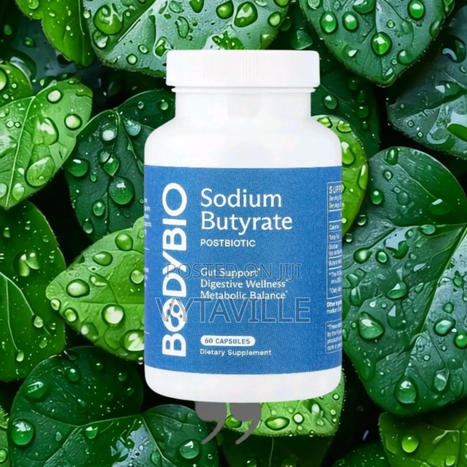 Bodybio Sodium Butyrate Capsules X 60