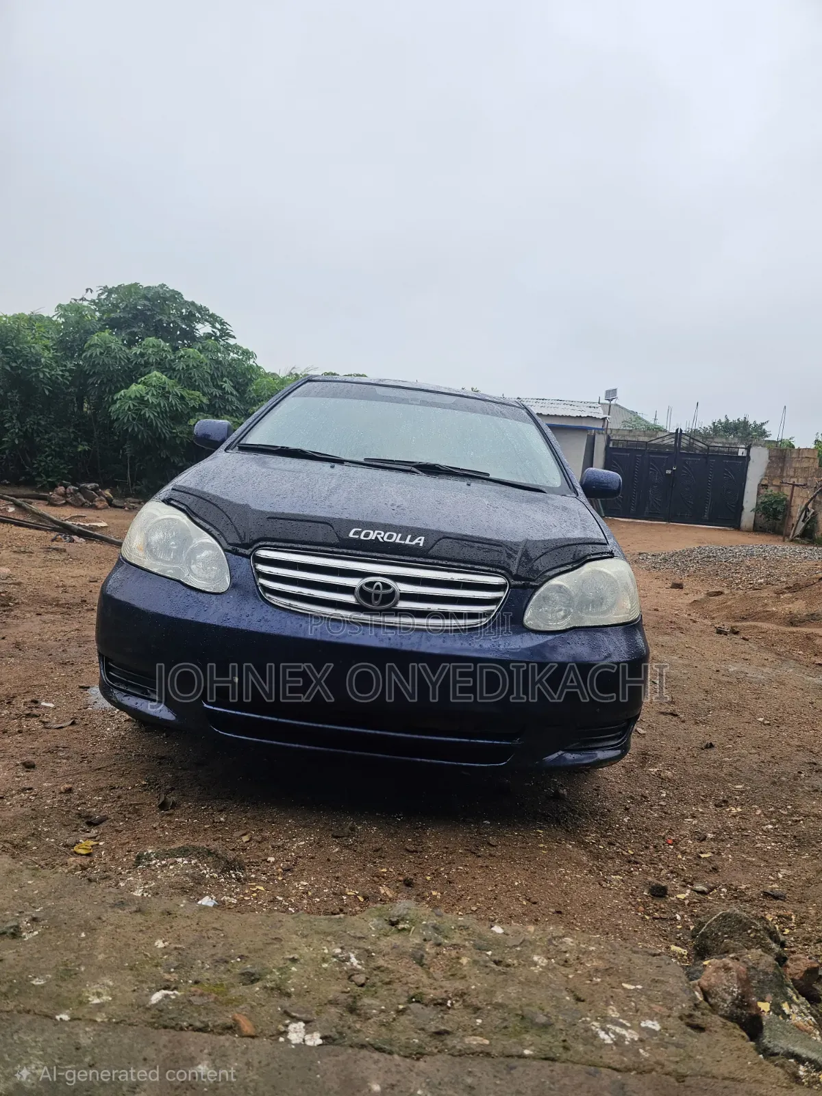 Toyota Corolla 2003 Blue