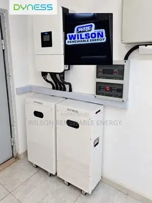 16kwh Dyness (Display Model) Lithium Battery