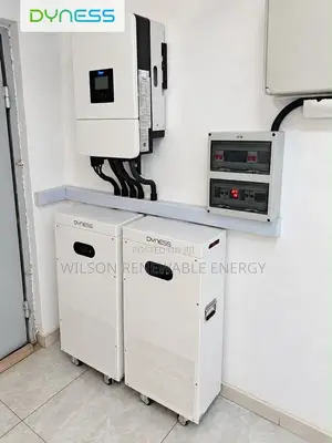 16kwh Dyness (Display Model) Lithium Battery