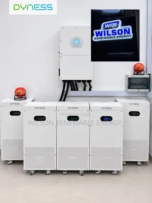 16kwh Dyness (Display Model) Lithium Battery