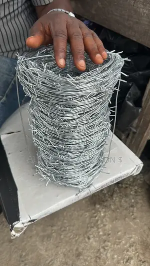 Barbed Fencing Wire / Strong Security Fence Concertina Wire
