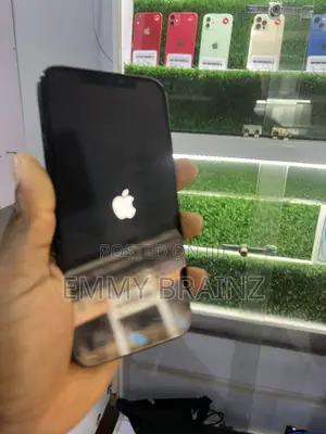 Apple iPhone 12 Pro Max 256 GB Blue