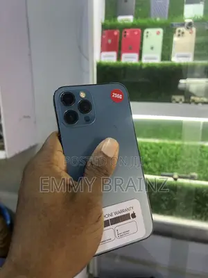 Apple iPhone 12 Pro Max 256 GB Blue