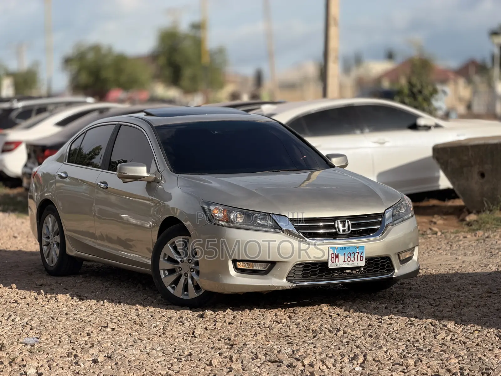 Honda Accord 2013 Gold