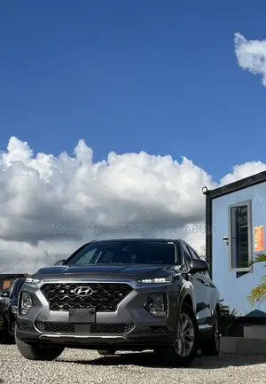 Hyundai Santa Fe 2020 Gray