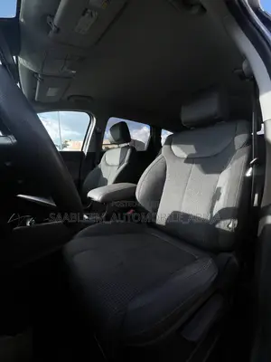 Hyundai Santa Fe 2020 Gray